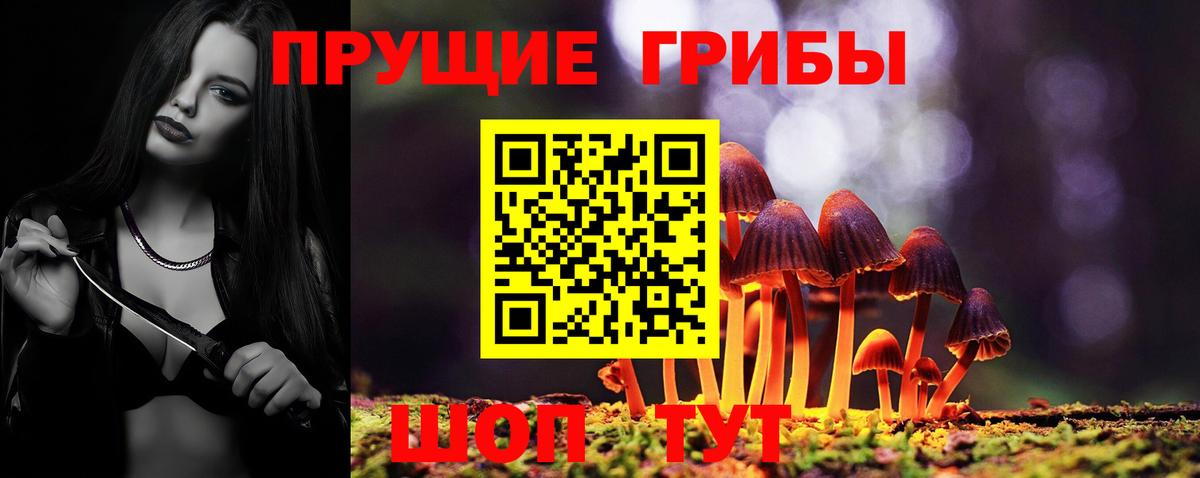 Галлюциногенные грибы Cubensis  Вход с VPN  Добрянка 